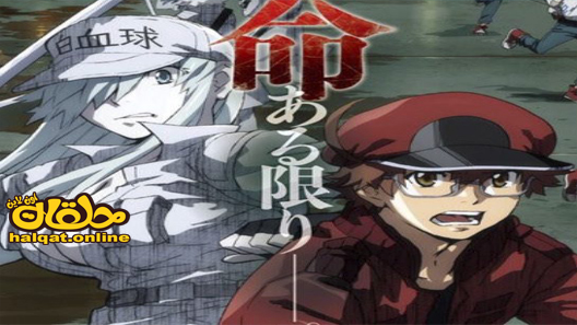 انمي Hataraku Saibou Black TV الحلقة 1