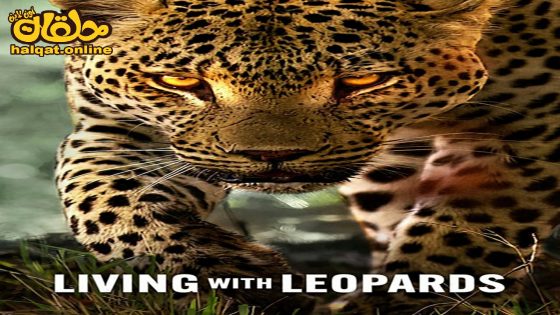 مشاهدة فيلم Living with Leopards 2024 مترجم