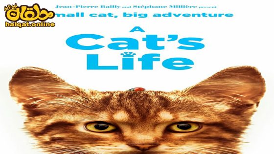 مشاهدة فيلم Mon chat et moi, la grande aventure de Rroû 2023 مترجم