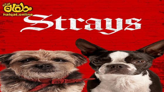 مشاهدة فيلم Strays 2023 مترجم